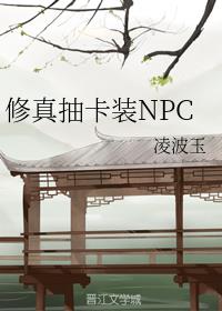 鿨װNPC