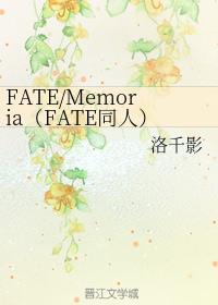 FATE/MemoriaFATEͬˣ