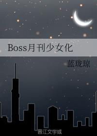 Boss¿Ů