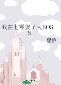 Ȣ˴BOSS