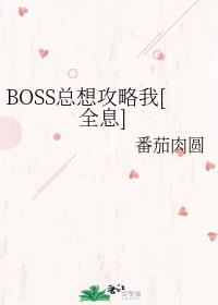 BOSS빥[ȫϢ]