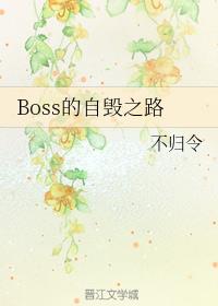 BossԻ֮·